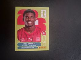 Panini WM 26 SUI 17