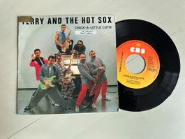TERRY AND THE HOT SOX tolle Chick A little Single SWISS Kult