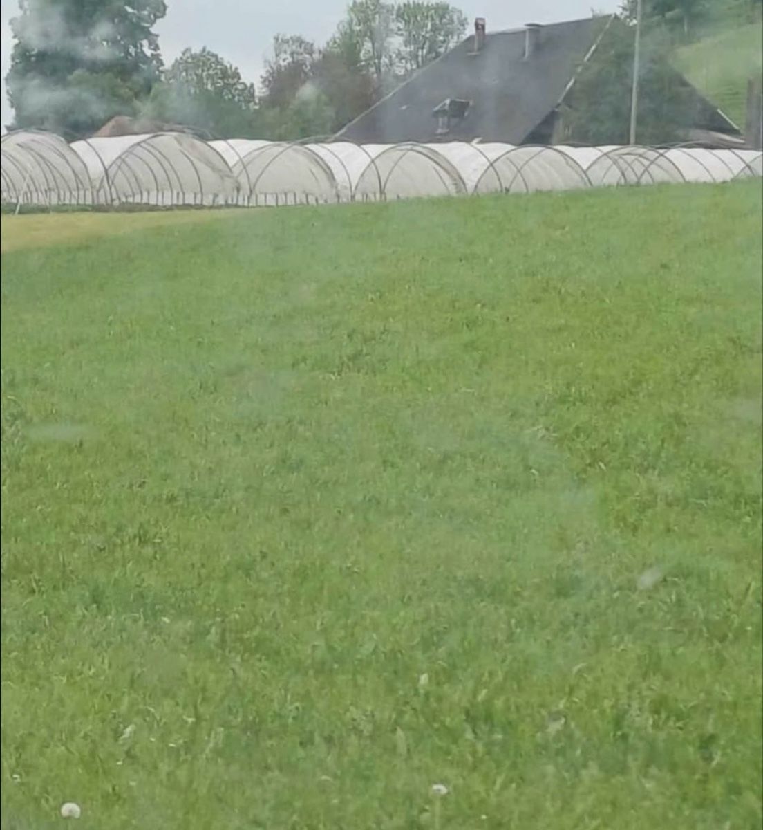 Lackretusche & Schutzfolien: Wanderstektunnel – Gebraucht aus Lützelflüh-Goldbach von ter_8dyn 1