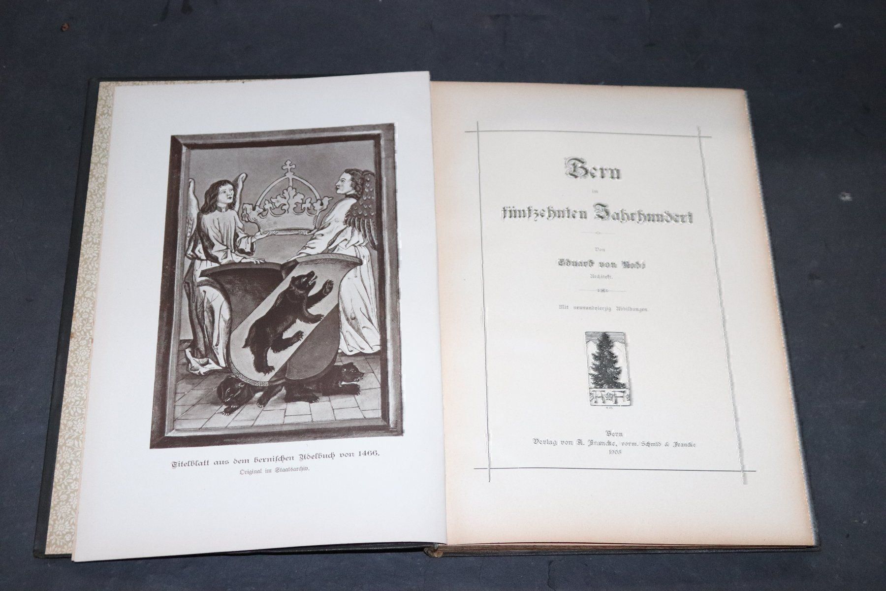 Libri: E.VON RODT,BERN IM 14.-19.JAHRHUNDERT – Usato da Guensberg venduto da Herzaktion 6