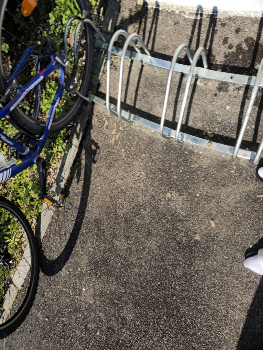 Biciclette: Canyon Jugendvelo – Usato da Ehrendingen venduto da Ince2016 1