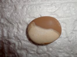 Mookait Heilstein/Handschmeichler