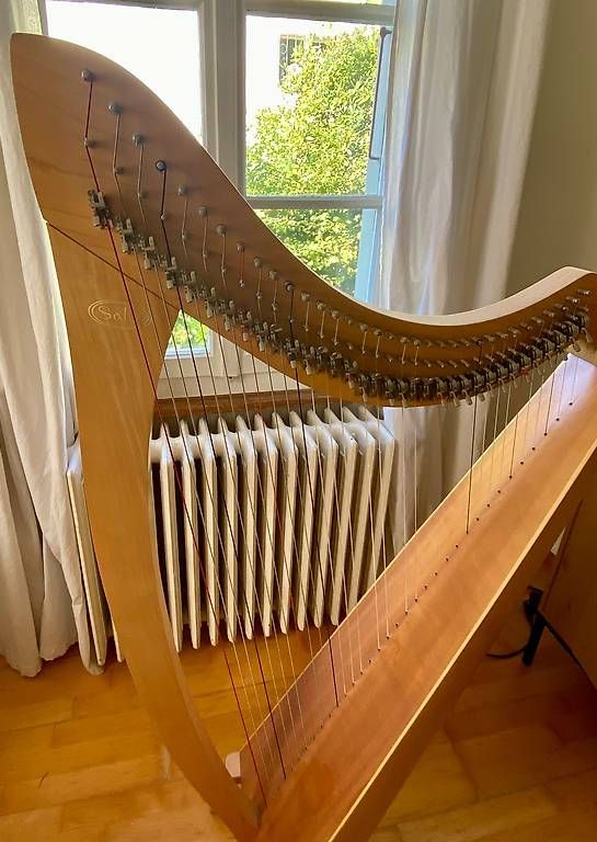Instruments de musique: Wunderschöne Salvi Harfe zu verkaufen – D'occasion à Luzern par Hermine012 2