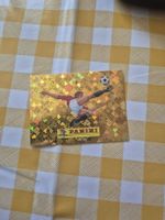 PANINI WM 2026 | PANINI LOGO (00)