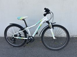 Cannondale Trail Girl 24