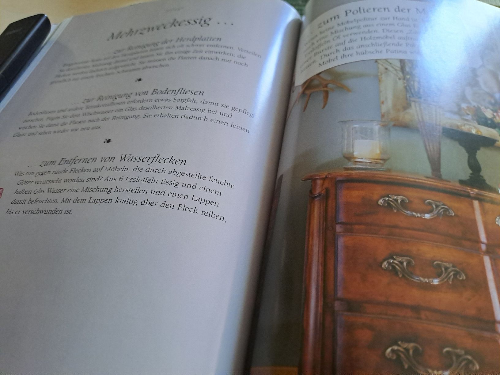 Libri: Omas Haushaltstipps - "Die besten Tipps & Tricks" – Usato da Zürich venduto da Schoebi19 9