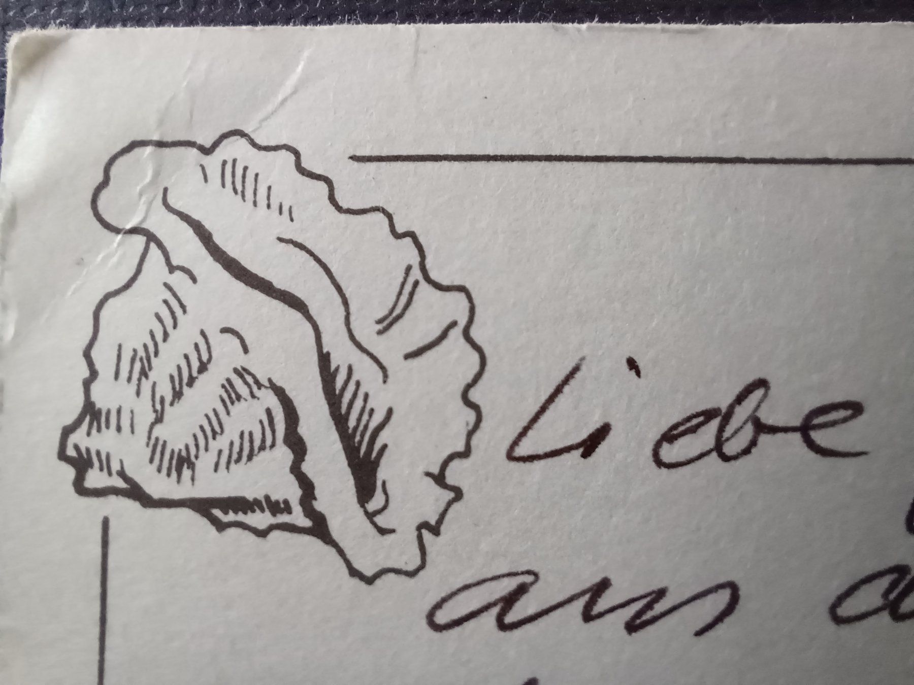 Cartoline postali: Nassau, Bahamas, 1999 – Usato da Aarau Rohr venduto da mgvw 4