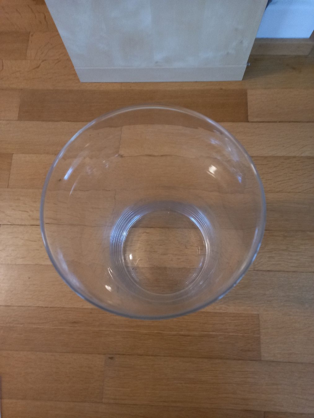 Vasi & Recipienti: Grosse Blumenvase Glasvase Deko – Usato da Heerbrugg venduto da Domino_1645 1