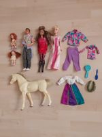 Barbie Sammlung