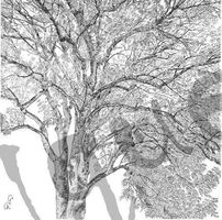 Serviette arbre (1470) 2Stk.
