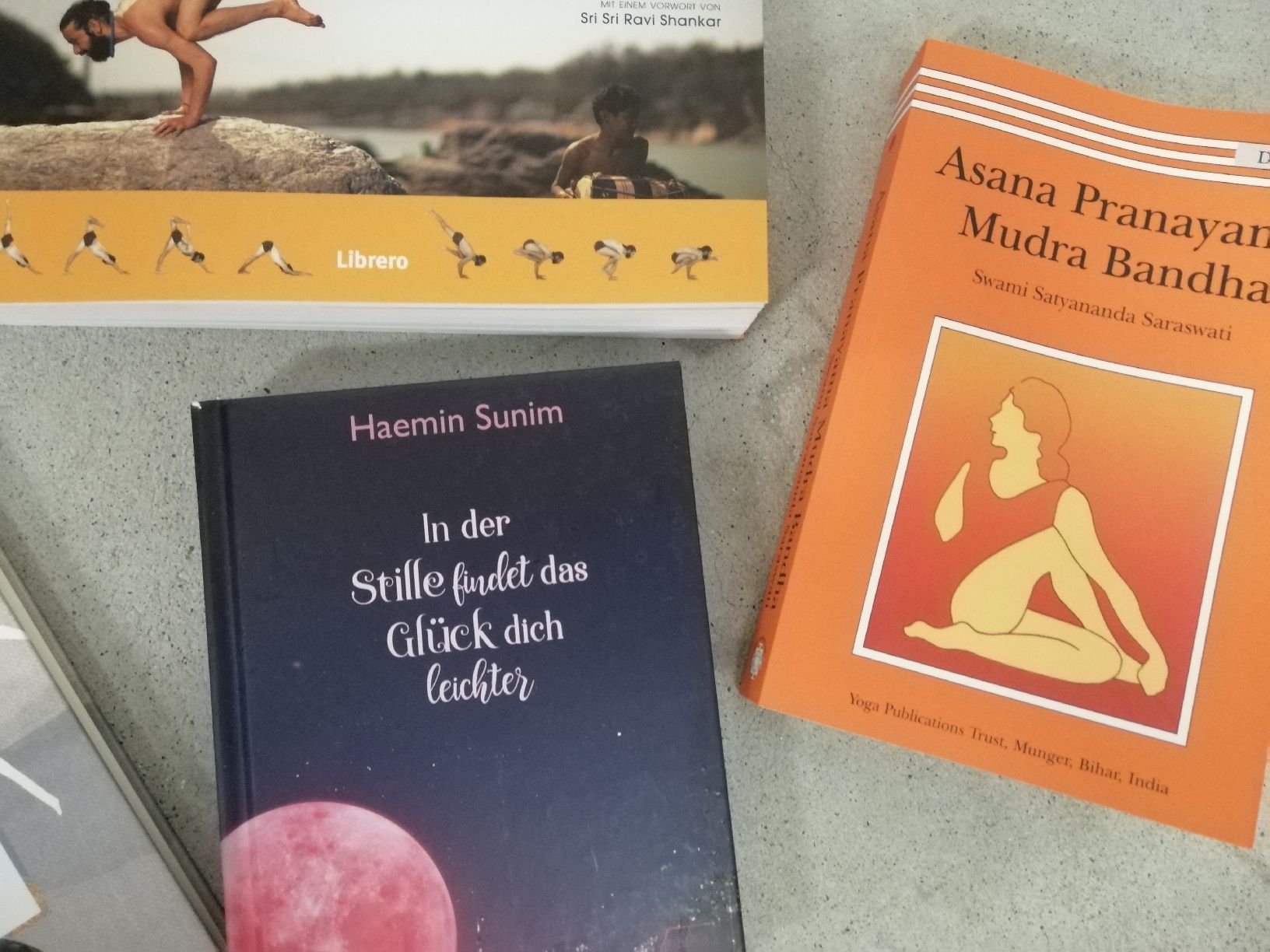 Libri: Yogabücher – Usato da Villmergen venduto da MONCHHICHI 2