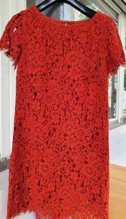 Zara Spitzenkleid XS