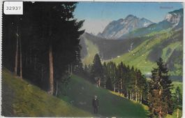 Waldidyll - animee - Litho - Stempel: Bächle-Hemberg
