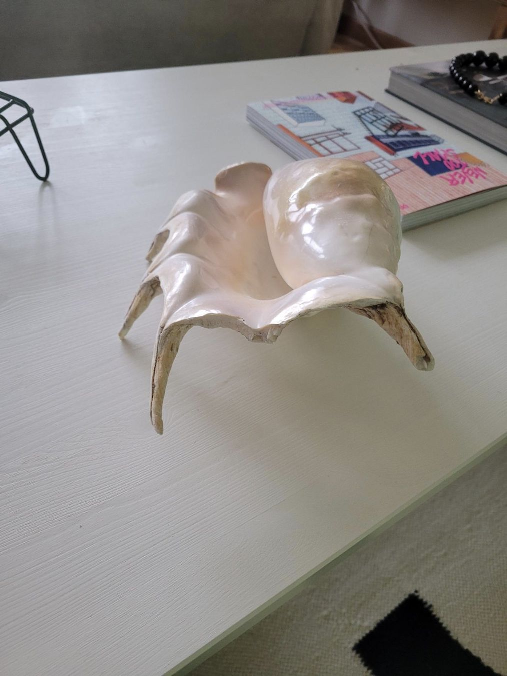 Fossili: Grosse Muschel | Sea Shell Large | Conch – Usato da Zürich venduto da HelloSunshine8048 4