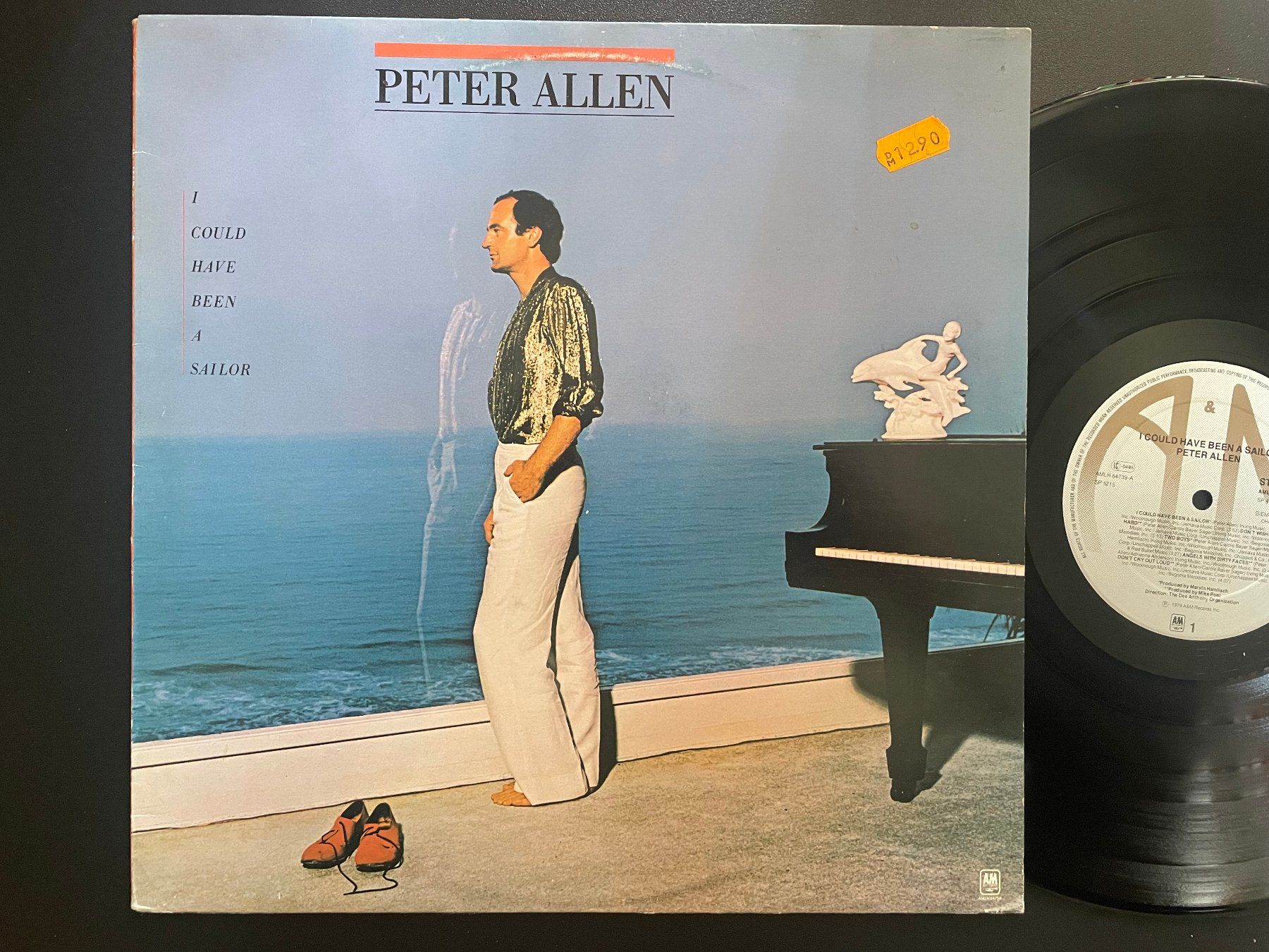 Dischi in vinile: Peter Allen, I could have been a Sailor, NL – Usato da Kleinlützel venduto da Vinylspezi