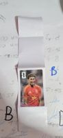 Lamine Yamal Coca-Cola Panini Sticker WM26