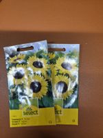 Sonnenblumen-Saatgut „Full Sun“ für Ihren Sommergarten