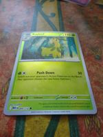 POKEMON  Bayleef  I  MEG EN  009/132  HP110  2025
