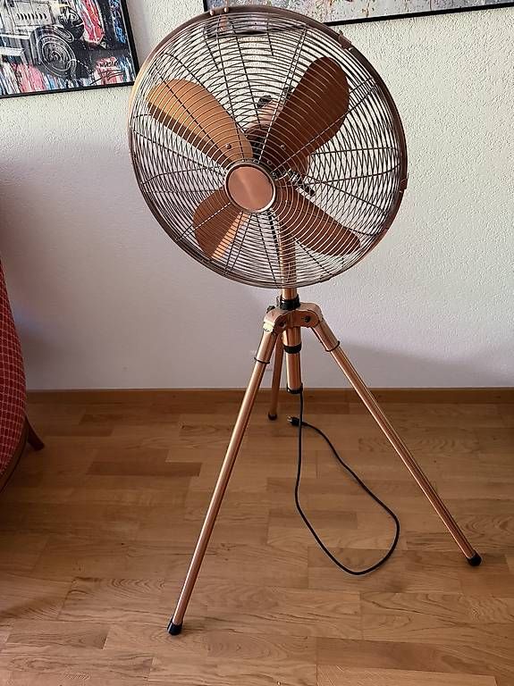 Ventilatori: Grand ventilateur – Usato da Botyre (Ayent) venduto da Claude-EvelyneS