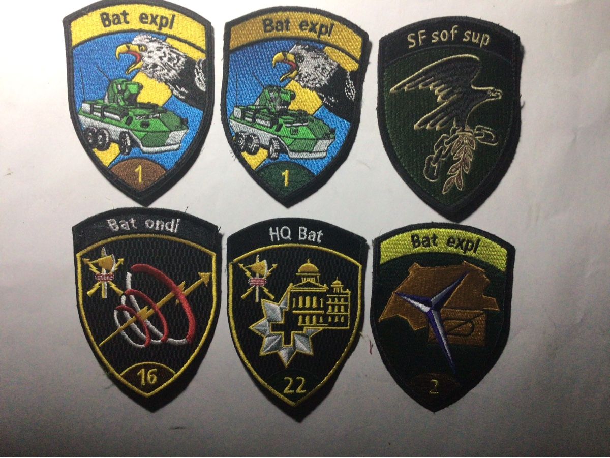 Schweizer Armee Placchette & Badge: BADGES A XXI – Usato da Crête-à-l'oeil venduto da Mga2