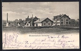 Zollikofen, Molkereischule Zollikofen, T
