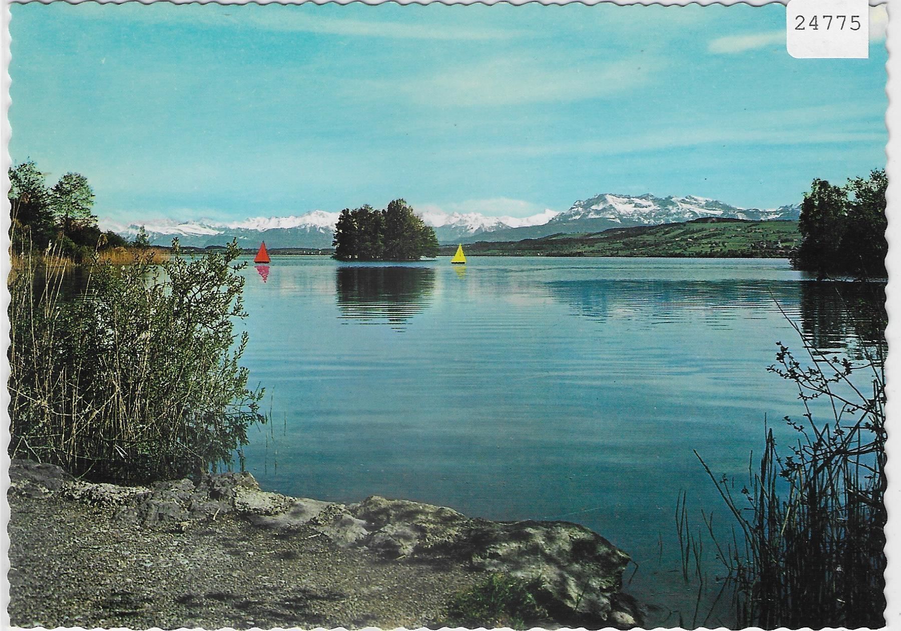 Libri: Sempachersee mit Alpen – Antico da Ettingen venduto da Kartenplanet