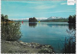 Sempachersee mit Alpen