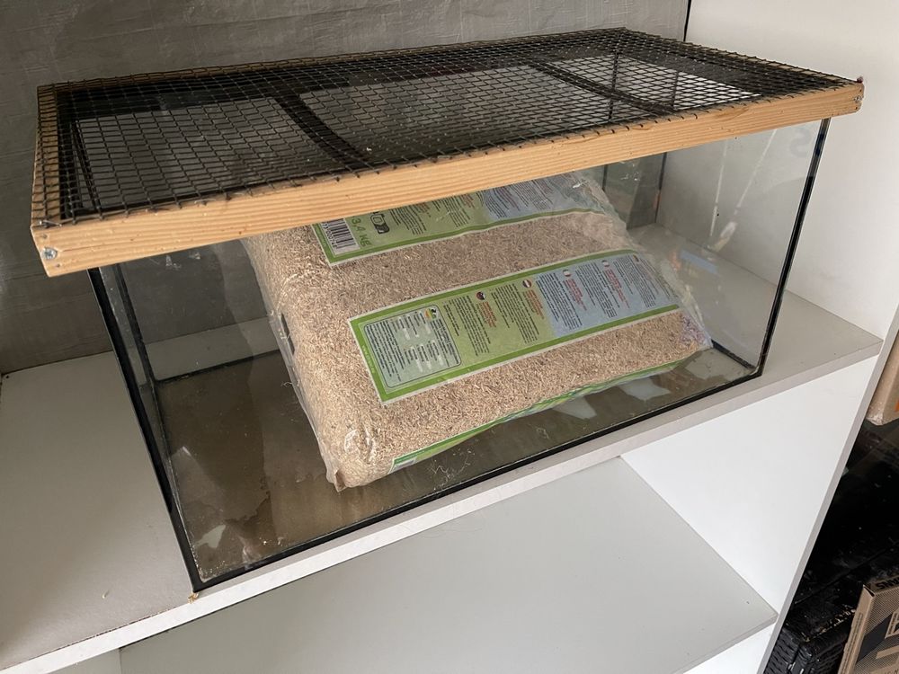 Terrarium Glas Kaufen auf Ricardo