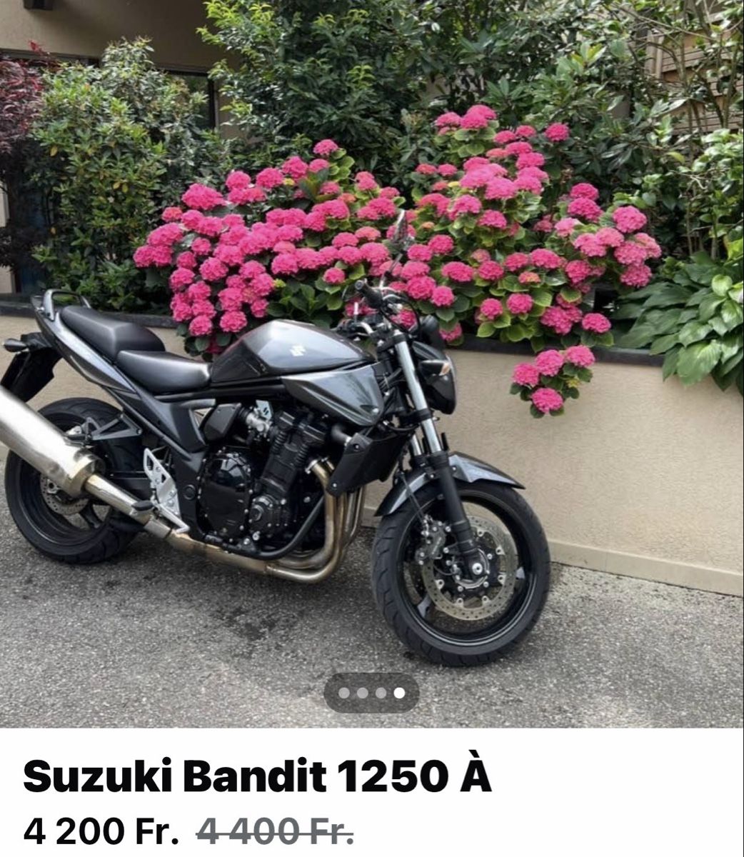 Suzuki Strasse: Moto Suzuki – Gebraucht aus Collonge-Bellerive von lad_g6f6