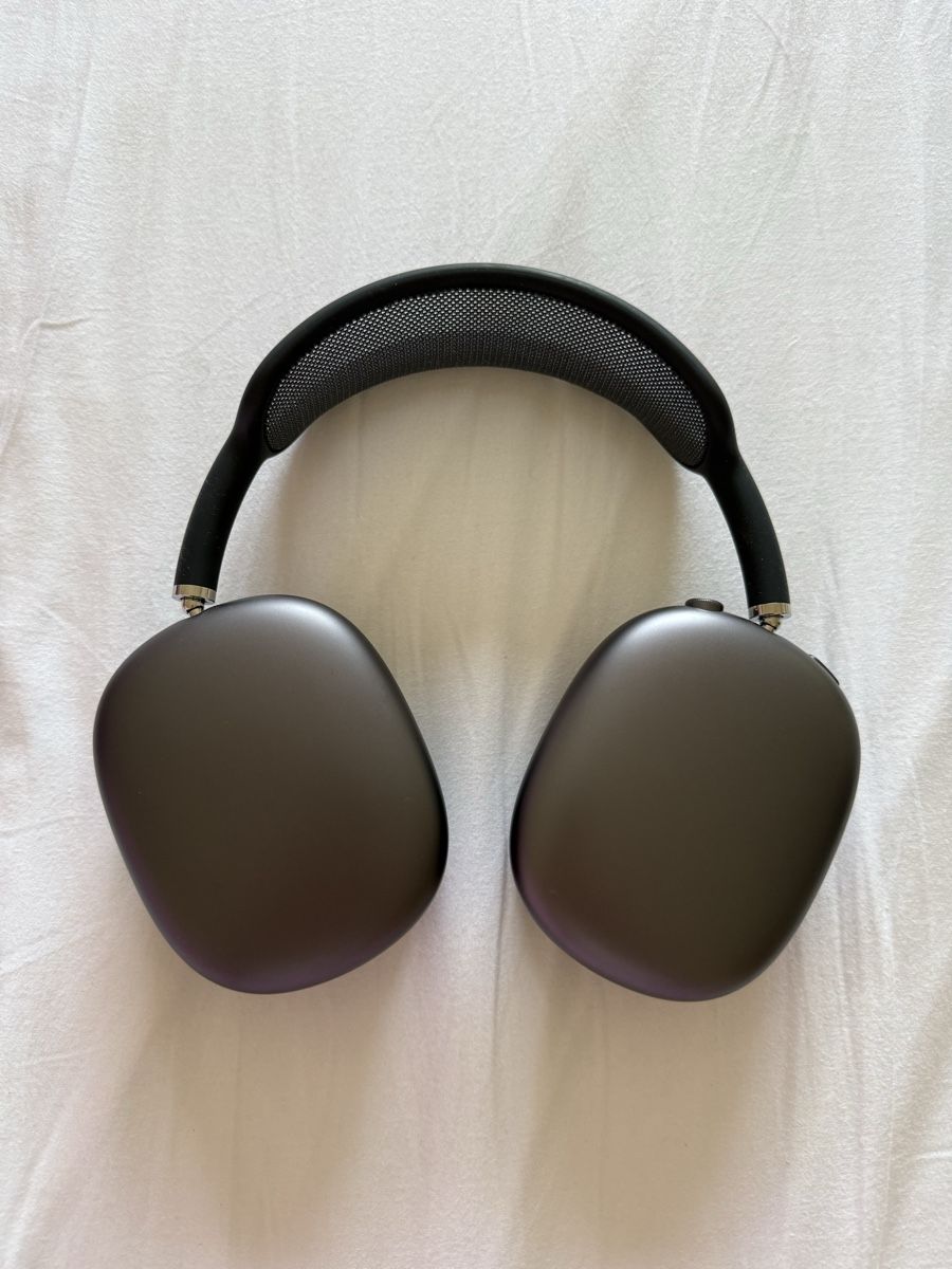 Apple Cuffie: Apple Airpods Max Kopfhörer mit Case Schwarz – Usato da Luzern venduto da poe_5fml 1