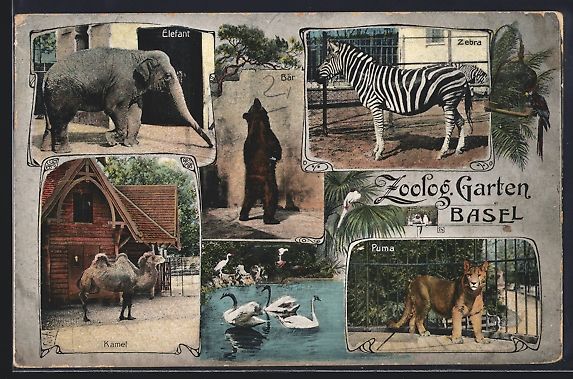 Cartes postales: Basel, Zoologischer Garten mit Elefant,  – D'occasion à Berlin par bartko-reher