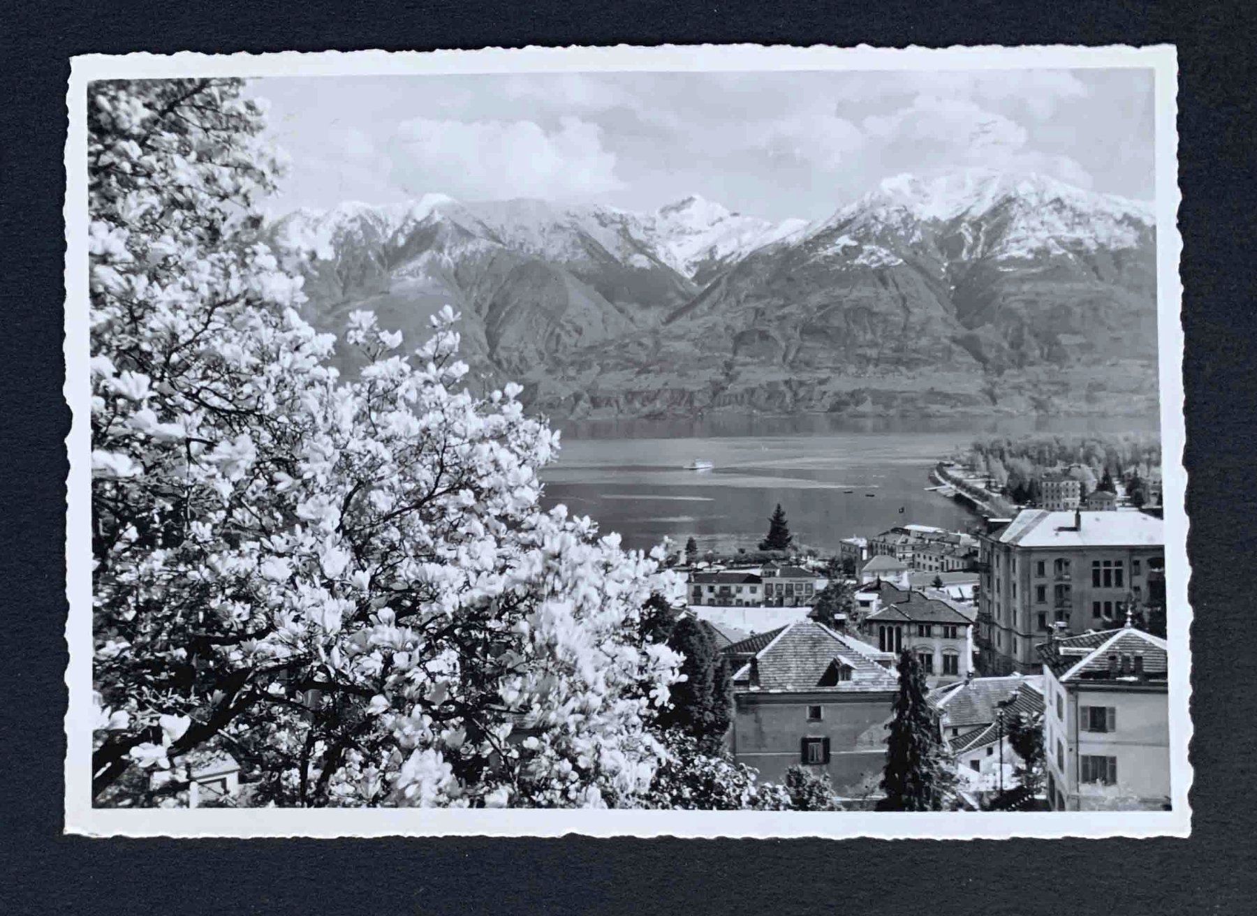 Cartoline postali: AK Muralto Locarno – Usato da Goldau venduto da artelier1
