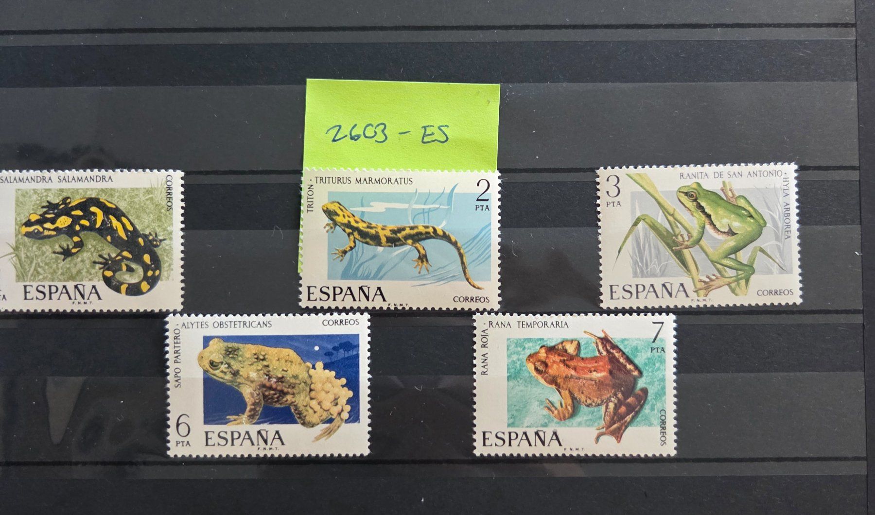 Tous les timbres: Briefmarken Spanien 2603-ES – D'occasion à Köniz par Briefmarken_Frau
