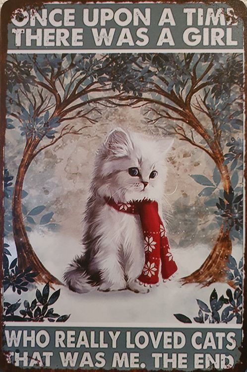 SUPERDANT Katzen Blechschild - Lustiges Wanddekoration Mit Katzenmotiv | Vintage Metallschild 20x30cm Für Home Deco