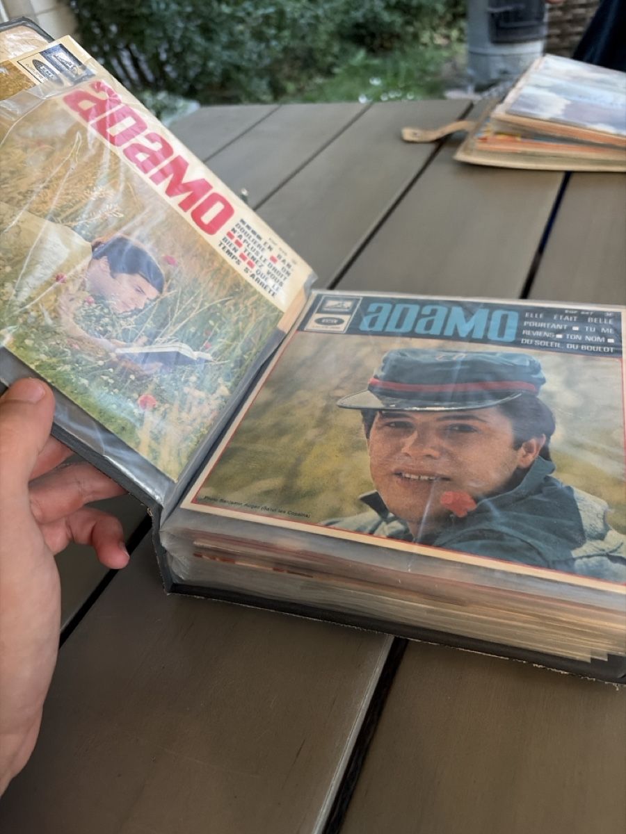 Dischi in vinile: Diverse Schallplatten – Usato da Neuendorf venduto da bvrapca