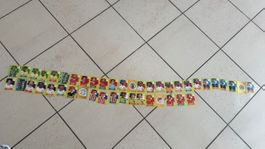 45 Panini WM 2026