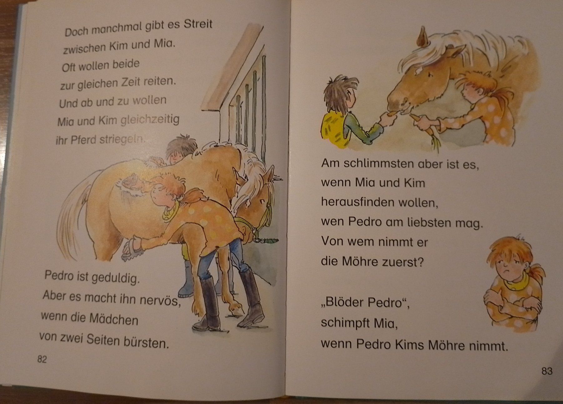 Libri: Lesepiraten – Usato da Therwil venduto da Twista11 4