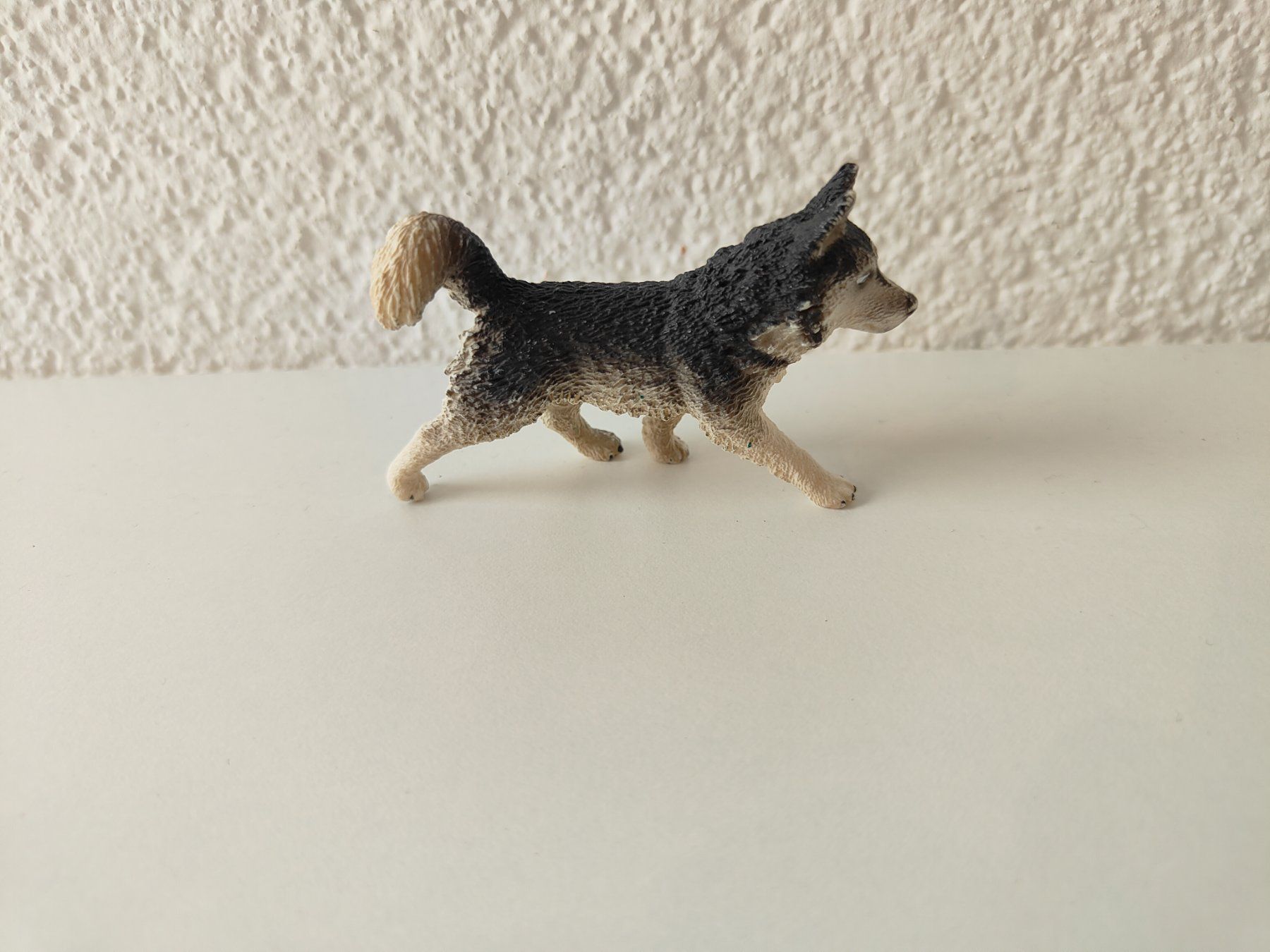Schleich Statuette: Schleich Hunde Husky – Usato da Thalwil venduto da FigurenFreunde
