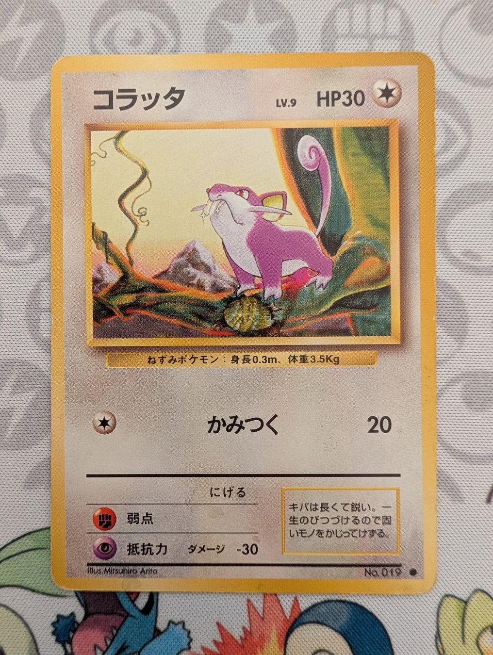 Pokémon Sammelbilder & Trading cards: Pokémon JP Rattata Set de base (1996) Wizard – Gebraucht aus Thônex von Janadel