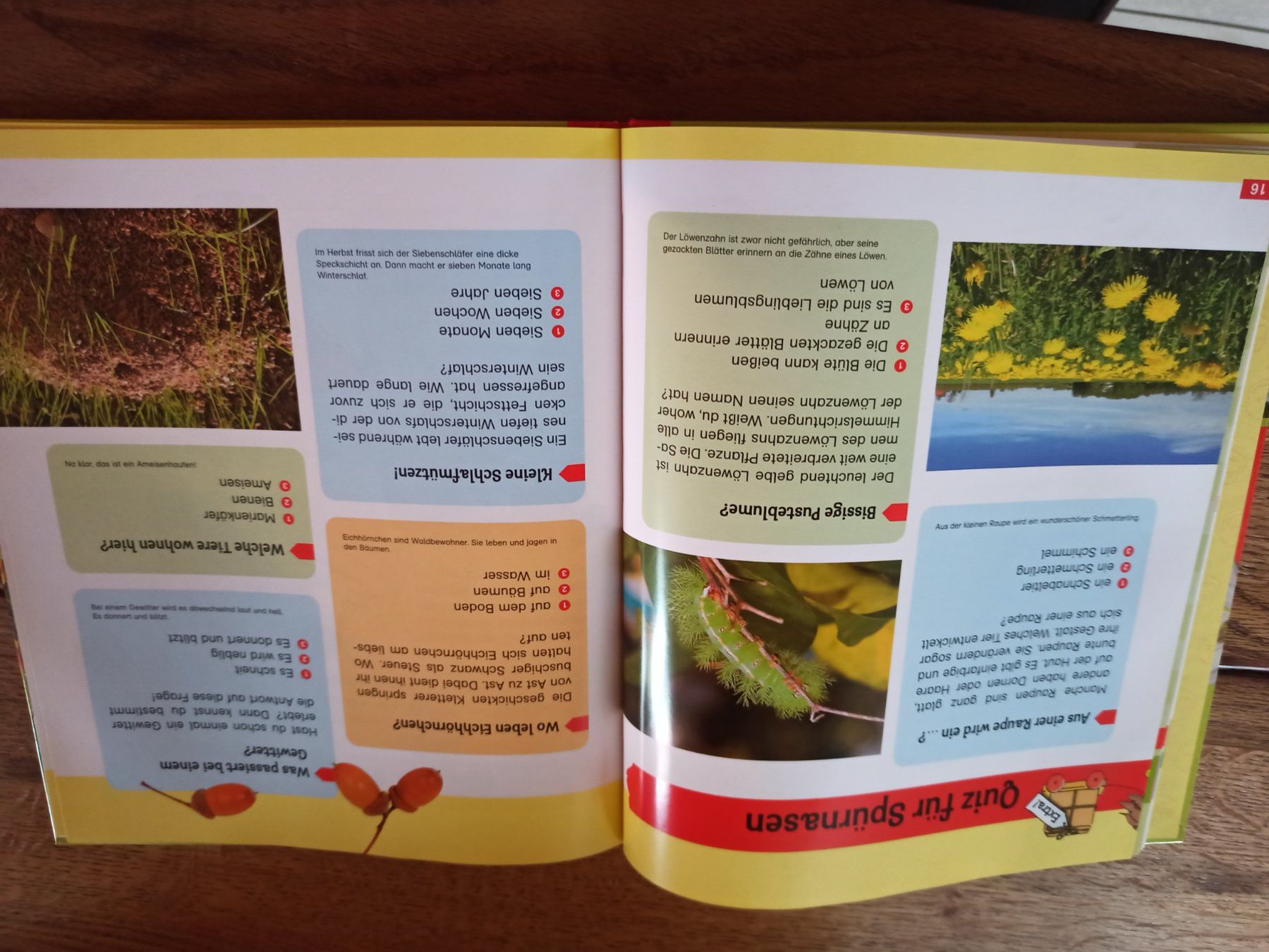 Bücher: Buch Experimente rund um die Natur – Gebraucht aus Niederwil AG von Nioc28 3