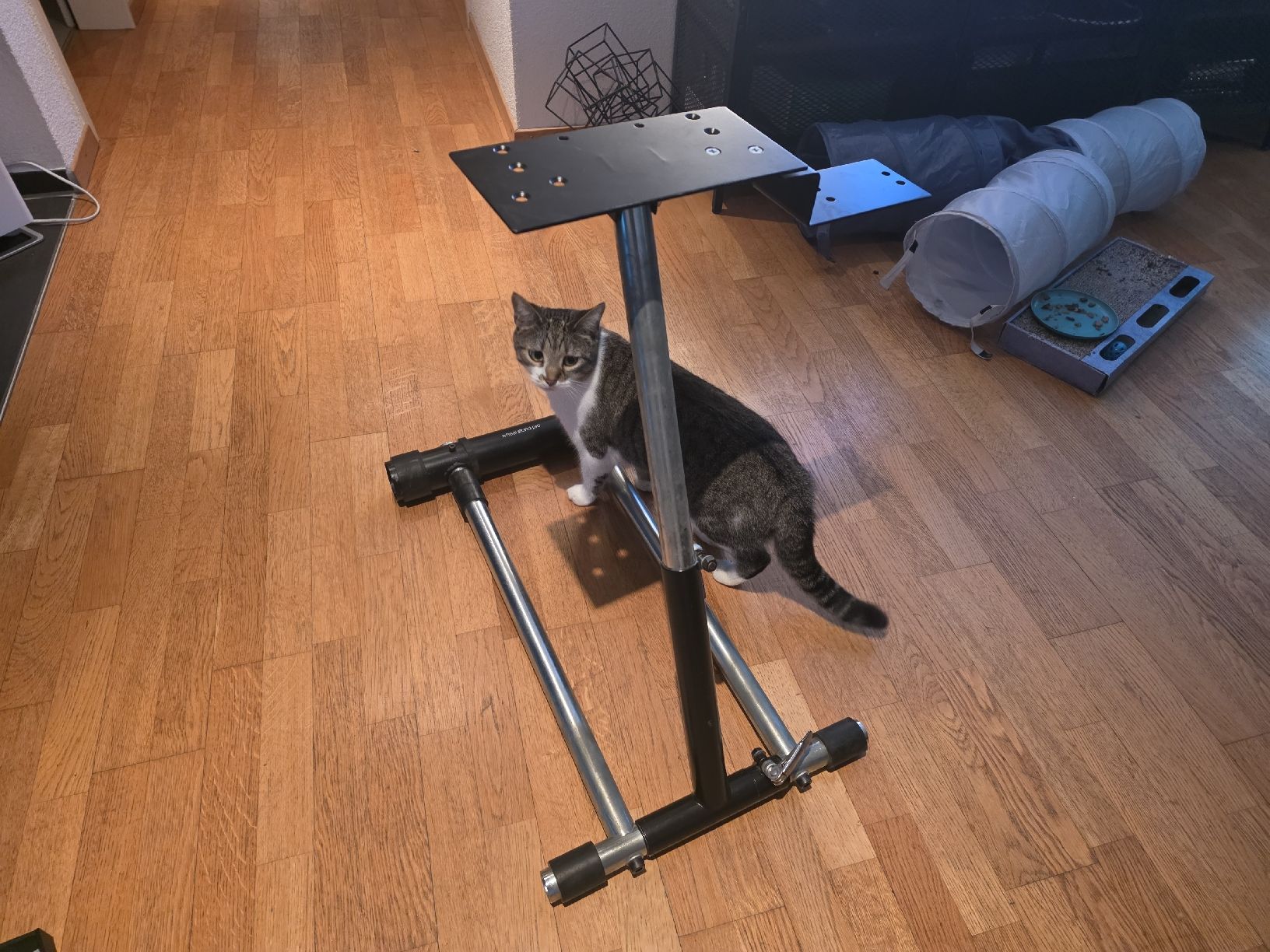 Sonstige Dekorationen & Accessoires: Lenkrad/Wheel Stand Sim Racing – Gebraucht aus Bassersdorf von elvenditor