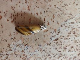 Tigerauge Anhänger