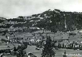 Saanen + 1964