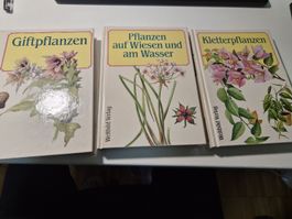 3 Pflanzen-Bücher: Giftpflanzen, Kletterpflanzen, Wiesen.