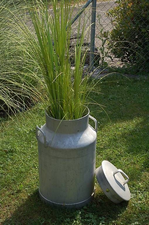 Tutte le decorazioni: Milchkanne Deko Garten Eingang Terrasse, etc. – Usato da Schupfart venduto da Bluelightning 2