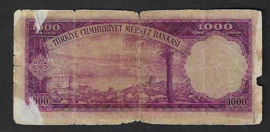 Banconote: Türkei  1000  Lire  Gebraucht – Usato da Gordola venduto da coinsandnotes 1