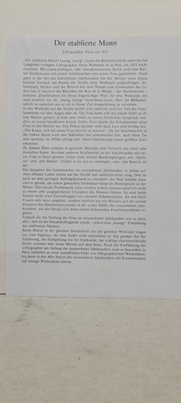 Grafiken & Lithographien: Der Schuh in der Karikatur, Lithographie – Gebraucht aus Sins von sagitarius58 3