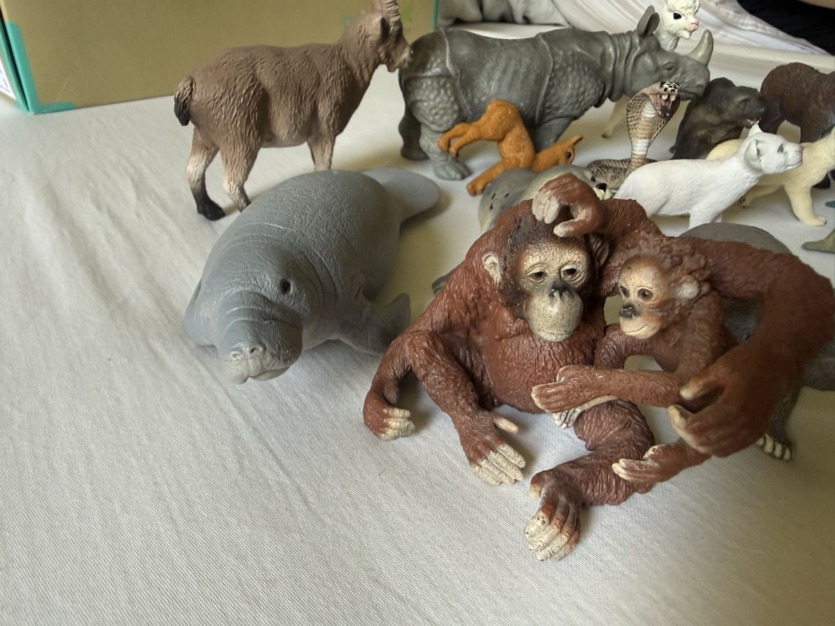 Schleich Statuette: 19 Schleich Tiere  – Usato da Zürich venduto da zuerich16 5