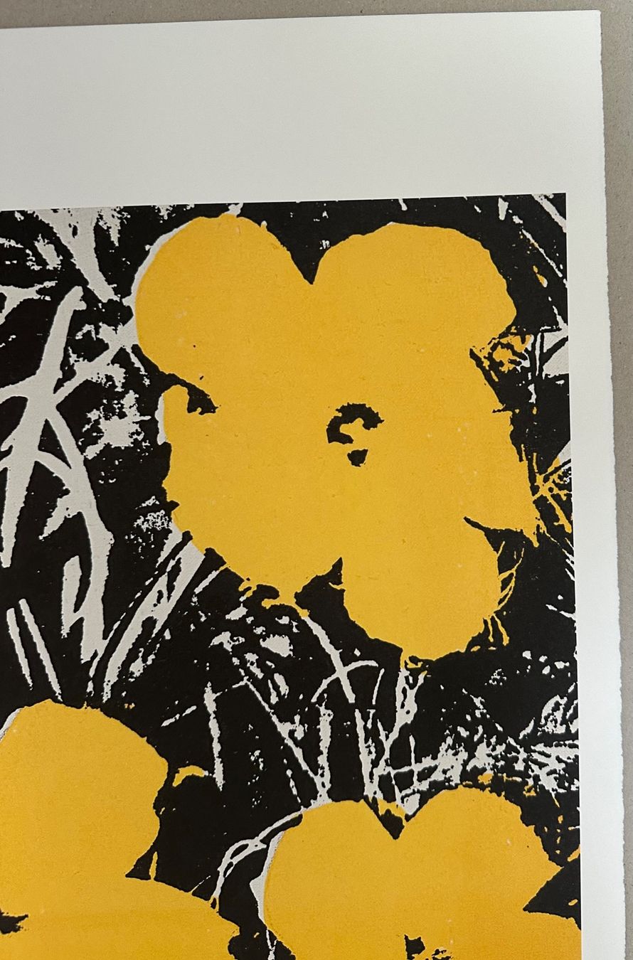 Foto & Immagini: Andy Warhol: Flowers 56/100 – Nuovo (secondo la descrizione) da Meilen venduto da Smgdesign 4