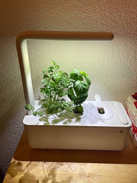 Box contenitori: Smart Garden 3 – Usato da Bern venduto da sir_7c5q 1